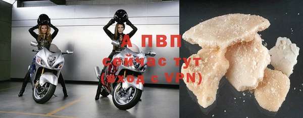 сатива Армянск