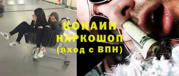 сатива Армянск
