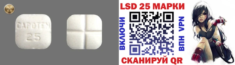Лсд 25 экстази ecstasy  Купить закладки  Петропавловск-Камчатский 