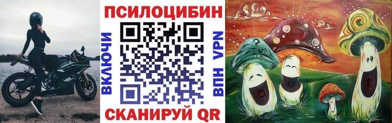 Купить где  Петропавловск-Камчатский  Псилоцибиновые грибы мицелий 